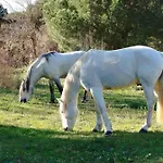 Bel Vue * La Grande Motte