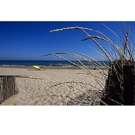Bel Vue 라그랑모트